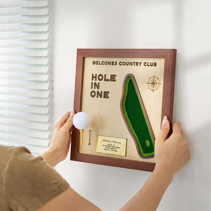 hole in one plaque with ball display