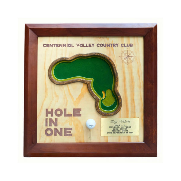 Personalized hole in one plaque, Golf Ball Display, Golf Gifts, Golf Decor, Golf Art