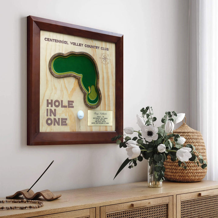 hole in one display,
hole in one plaque